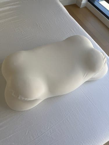 Cloud Pillow photo review from Priya S.