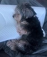 Cervical Pillow photo review from Jamille