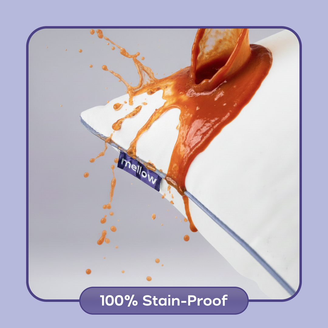 Lumuwala Plush Pillow